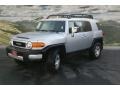 Titanium Metallic - FJ Cruiser 4WD Photo No. 4