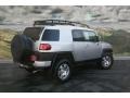 Titanium Metallic - FJ Cruiser 4WD Photo No. 6