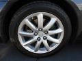 2008 Lexus LS 460 Wheel and Tire Photo