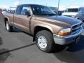 2001 Medium Bronze Pearl Dodge Dakota SLT Club Cab 4x4  photo #1