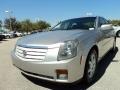 Light Platinum - CTS Sport Sedan Photo No. 14
