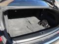 Mojave Sand Trunk Photo for 2006 Audi A8 #78146667
