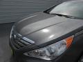 Harbor Gray Metallic - Sonata SE Photo No. 12