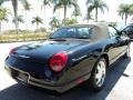 Evening Black - Thunderbird Premium Roadster Photo No. 6