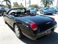 Evening Black - Thunderbird Premium Roadster Photo No. 11