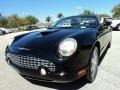 Evening Black - Thunderbird Premium Roadster Photo No. 16