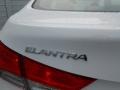Shimmering White - Elantra GLS Photo No. 6