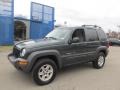 Shale Green Metallic 2002 Jeep Liberty Sport 4x4