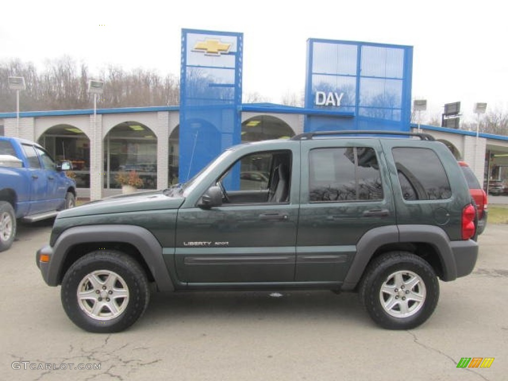 2002 Liberty Sport 4x4 - Shale Green Metallic / Taupe photo #2