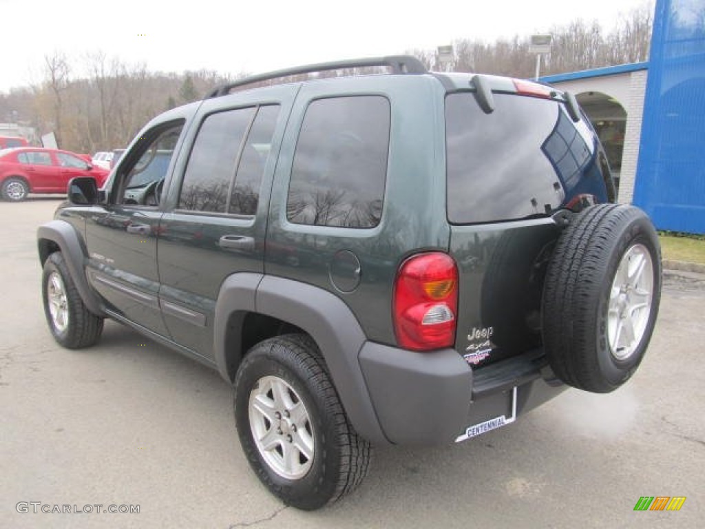 2002 Liberty Sport 4x4 - Shale Green Metallic / Taupe photo #4