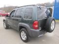 2002 Shale Green Metallic Jeep Liberty Sport 4x4  photo #4