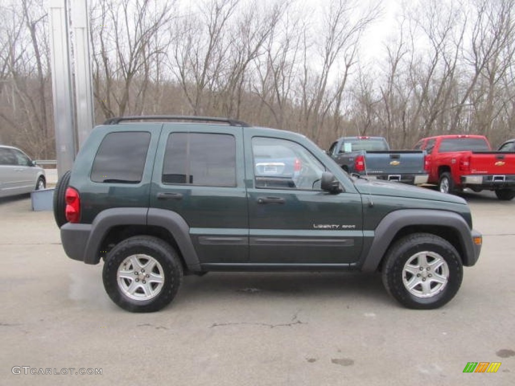 2002 Liberty Sport 4x4 - Shale Green Metallic / Taupe photo #6