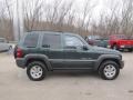2002 Shale Green Metallic Jeep Liberty Sport 4x4  photo #6