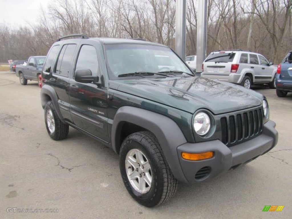Shale Green Metallic 2002 Jeep Liberty Sport 4x4 Exterior Photo #78154220