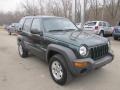 2002 Shale Green Metallic Jeep Liberty Sport 4x4  photo #8