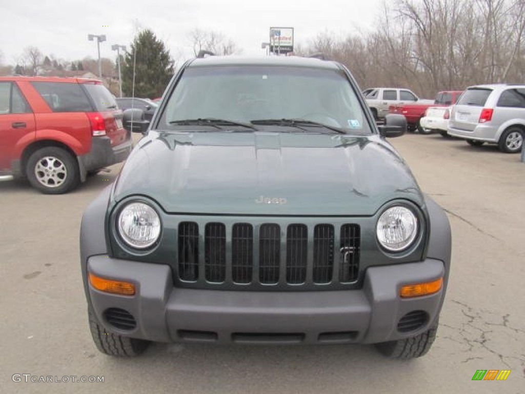 2002 Liberty Sport 4x4 - Shale Green Metallic / Taupe photo #9