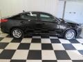 Ebony Black - Optima LX Photo No. 32