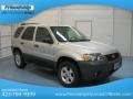 2006 Silver Metallic Ford Escape XLT V6 4WD  photo #2