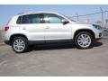 White Gold Metallic - Tiguan SE Photo No. 10