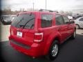 2009 Torch Red Ford Escape XLT  photo #6