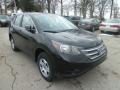 2013 Crystal Black Pearl Honda CR-V LX AWD  photo #6