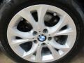 2010 BMW X3 xDrive30i Wheel and Tire Photo