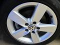 Candy White - Jetta TDI Sedan Photo No. 13