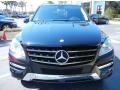 Black - ML 350 4Matic Photo No. 2