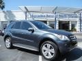 Steel Grey Metallic - ML 350 Photo No. 1