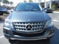 Steel Grey Metallic - ML 350 Photo No. 2