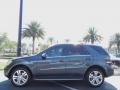Steel Grey Metallic - ML 350 Photo No. 4