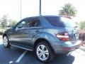 Steel Grey Metallic - ML 350 Photo No. 5
