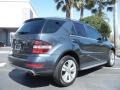 Steel Grey Metallic - ML 350 Photo No. 7