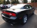 Pitch Black - Charger R/T Plus Photo No. 3