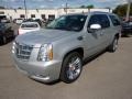 Front 3/4 View of 2010 Escalade ESV Platinum AWD