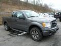 Sterling Gray Metallic - F150 STX SuperCab 4x4 Photo No. 1