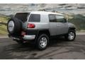 Titanium Metallic - FJ Cruiser 4WD Photo No. 6