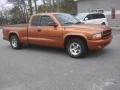 2000 Amber Fire Pearl Dodge Dakota R/T Sport Extended Cab  photo #7