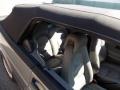 Plantana Gray Metallic - 900 S Convertible Photo No. 17