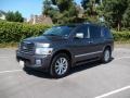 Silver Graphite Gray - QX 56 4WD Photo No. 1