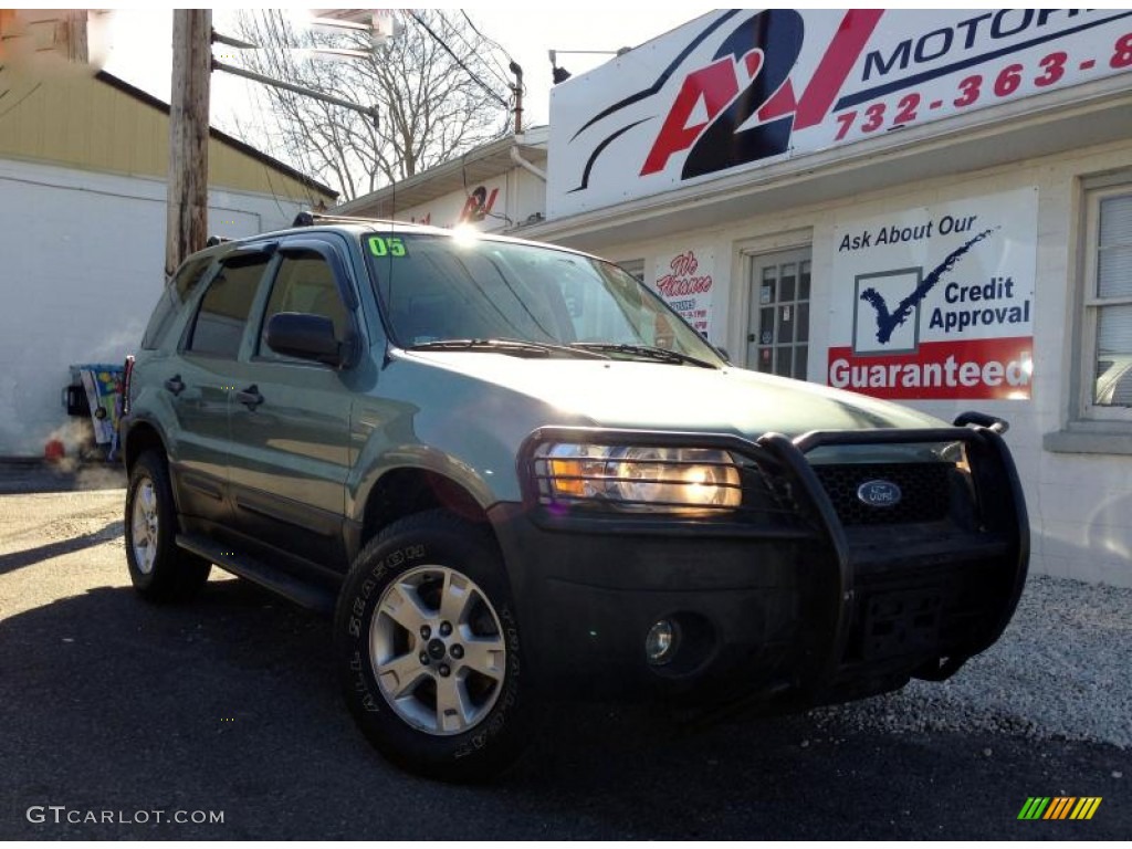 Silver Metallic Ford Escape