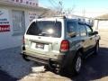 2005 Silver Metallic Ford Escape XLT V6 4WD  photo #6