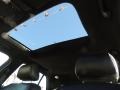 Light Platinum - DTS Sedan Photo No. 24