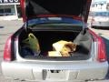 Light Platinum - DTS Sedan Photo No. 26