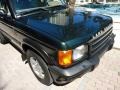 2001 Epsom Green Land Rover Discovery II SE  photo #29