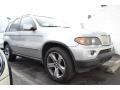 Titanium Silver Metallic - X5 4.4i Photo No. 2