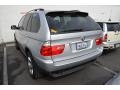 Titanium Silver Metallic - X5 4.4i Photo No. 6
