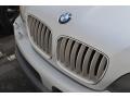 Titanium Silver Metallic - X5 4.4i Photo No. 17