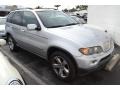 Titanium Silver Metallic - X5 4.4i Photo No. 18