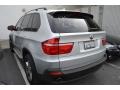 2010 Titanium Silver Metallic BMW X5 xDrive30i  photo #5